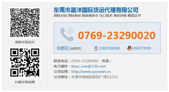 东莞晟洋物流 深圳至新加坡海运拼箱服务，高效便捷的国际物流选择