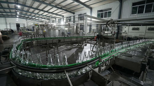 山东潍坊啤酒代加工与贴牌定制全攻略 英豪啤酒的批发优势与市场推广策略